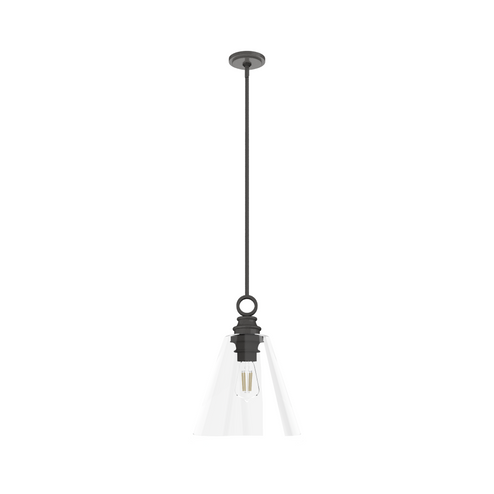 Hunter Klein Noble Bronze with Clear Glass 1 Light Pendant Ceiling Light Fixture (4797|19441)