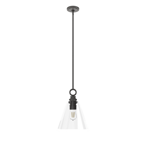 Hunter Klein Noble Bronze with Clear Glass 1 Light Pendant Ceiling Light Fixture (4797|19439)