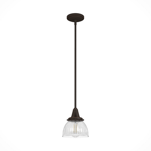 Hunter Cypress Grove Onyx Bengal with Clear Holophane Glass 1 Light Pendant Ceiling Light Fixture (4797|19230)