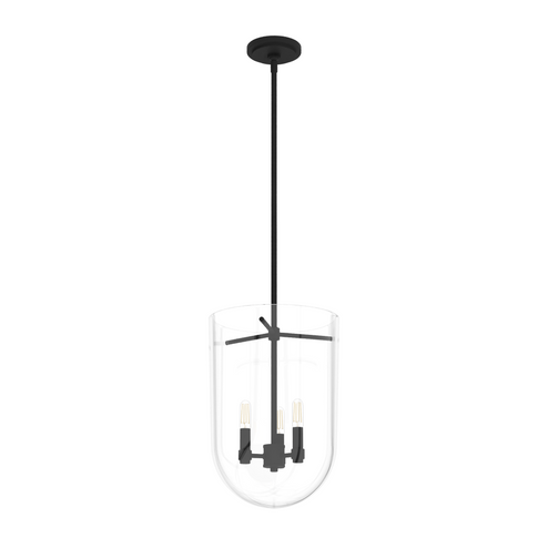 Hunter Sacha Natural Black Iron with Clear Glass 3 Light Pendant Ceiling Light Fixture (4797|19318)