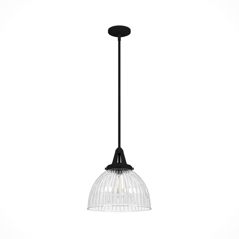 Hunter Cypress Grove Natural Black Iron with Clear Holophane Glass 1 Light Pendant Ceiling Light Fix (4797|19249)