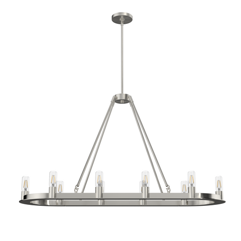 Hunter Saddlewood Brushed Nickel 10 Light Chandelier Ceiling Light Fixture (4797|19028)