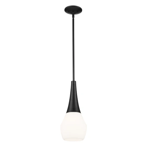 Pendant 1Lt (10687|52529BK)