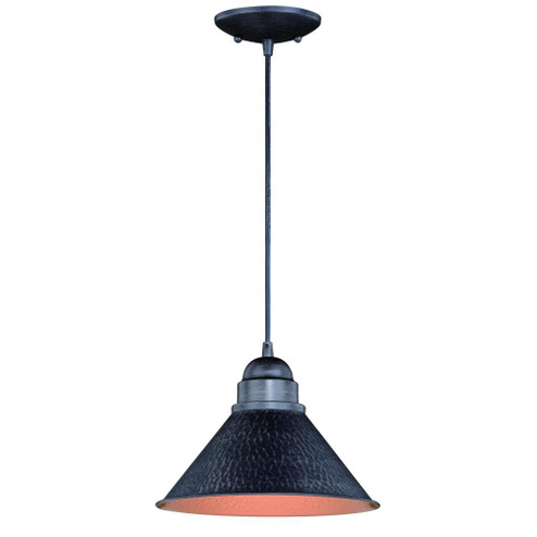 Outland 10-in Outdoor Pendant Light Aged Iron and Light Gold (51|T0349)