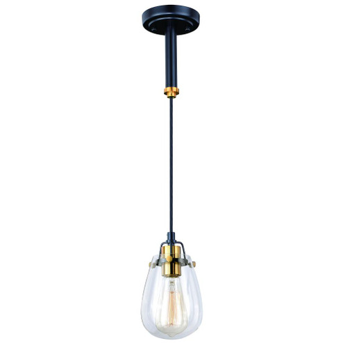 Kassidy 5-in Mini Pendant or Wall Light (Dual Mount) Black and Natural Brass (51|P0232)