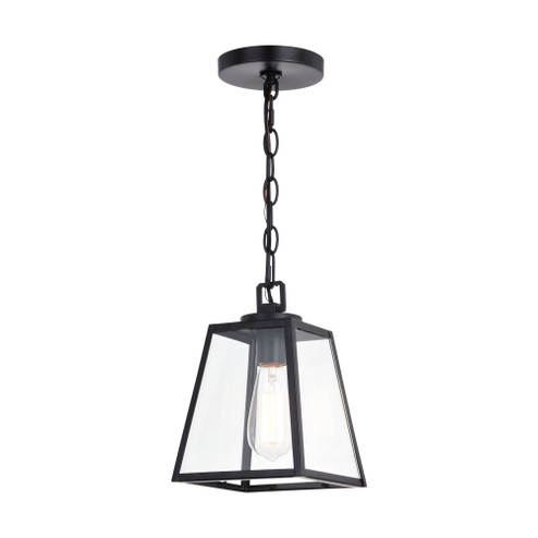 Grant 7-in Black Indoor Outdoor Farmhouse Mini Pendant Lantern, 1-Light Hanging Ceiling Light with C (51|P0346)
