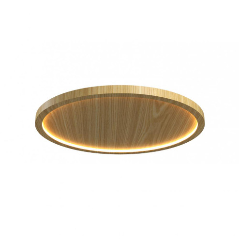 Naiá Accord Ceiling 5095 LED (9485|5095LED.45)