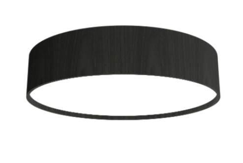 Cylindrical Accord Ceiling Mounted 529 LED (9485|529LED.44)