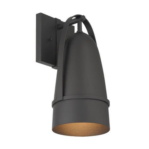 Rue 14 in. 1-Light Black Modern Outdoor Wall Lantern with Dark Sky Metal Shade (21|D302M-6EW-BK)