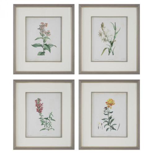 Uttermost Heirloom Blooms Study Framed Prints Set/4 (85|32285)