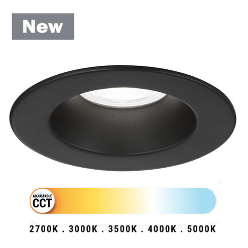 2 Inch High Output Round Fixed Downlight in Black (4304|45361-029)