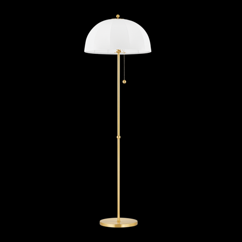 Meshelle Floor Lamp (6939|HL816401-AGB)