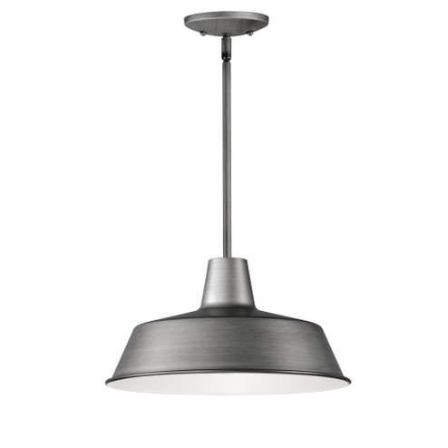 Pier M-Outdoor Pendant (19|35019WZ)