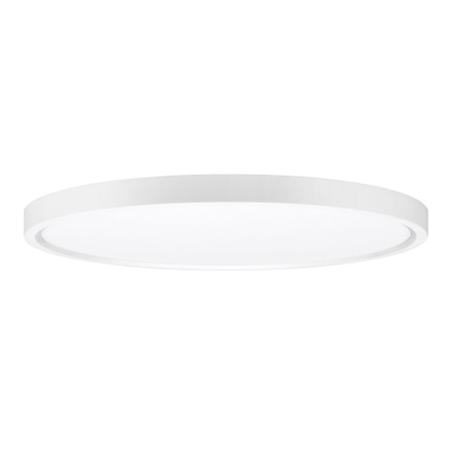 Flush Mount (12|AC6791WH)
