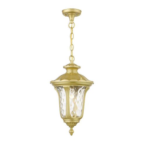 1 Light Soft Gold Outdoor Medium Pendant Lantern (108|7854-33)