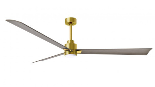 Alessandra 3-blade transitional ceiling fan in brushed brass finish with gray ash blades. Optimize (230|AKLK-BRBR-GA-72)