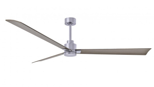 Alessandra 3-blade transitional ceiling fan in brushed nickel finish with gray ash blades. Optimized (230|AK-BN-GA-72)