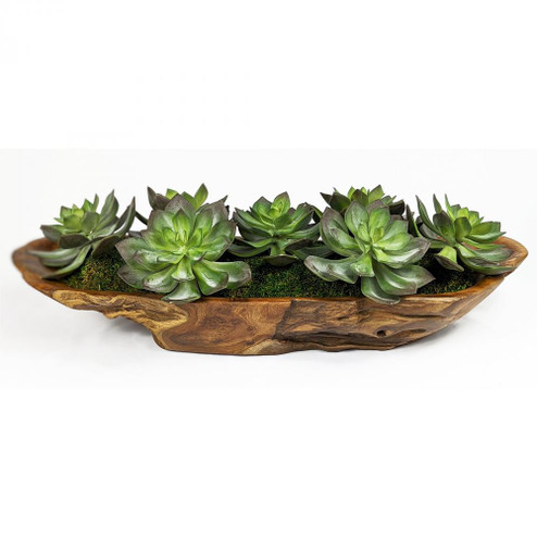 Uttermost Yuma Succulent Centerpiece (85|60205)