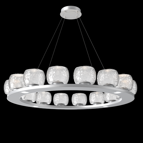 Vessel 48-inch Platform Ring-Classic Silver-Clear Blown Glass-Stainless Cable-LED 2700K (1289|CHB0091-0D-CS-C-CA1-L1)