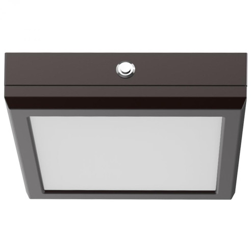 Blink Pro; EM Battery Backup; 7 Inch; Square Shape; Bronze Finish (81|62/1716/EM)