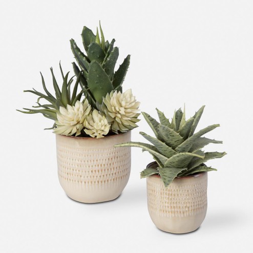 Uttermost Seaside Succulents Set/2 (85|60208)