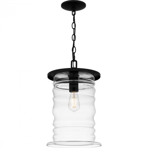 Noland 1-Light Matte Black Outdoor Hanging Lantern (26|NAD1910MBK)