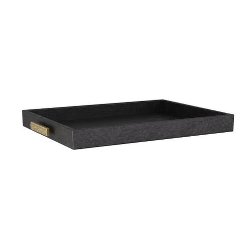 Gavin Tray (314|AYI06)