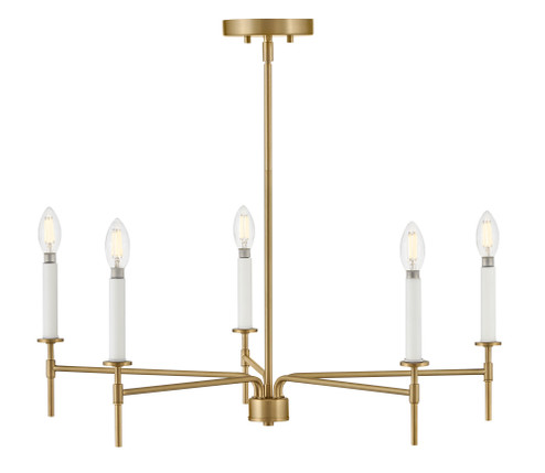 Medium Single Tier (1118101|83075LCB)