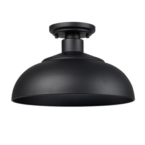 Yep by Golden Lighting Levitt 1-light Outdoor Ceiling in Natural Black and Natural Black shade (36|2866-OSF NB-NB)