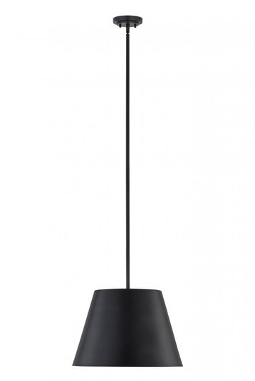 1 Light Pendant (276|2307-18MB)