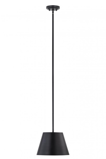 1 Light Pendant (276|2307-12MB)