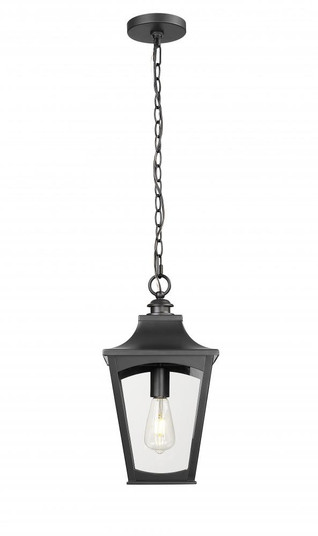 Outdoor Hanging Lantern (670|10931-PBK)