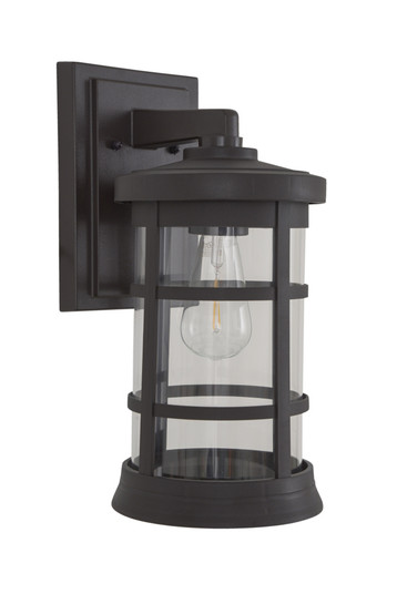 Resilience 1 Light Medium Outdoor Wall Lantern in Bronze, Clear Lens (20|ZA2314-BZ-C)
