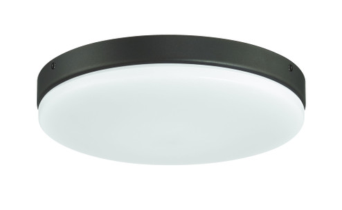 Mondo LED Light Kit in Espresso (20|MNDLK-ESP-LED)