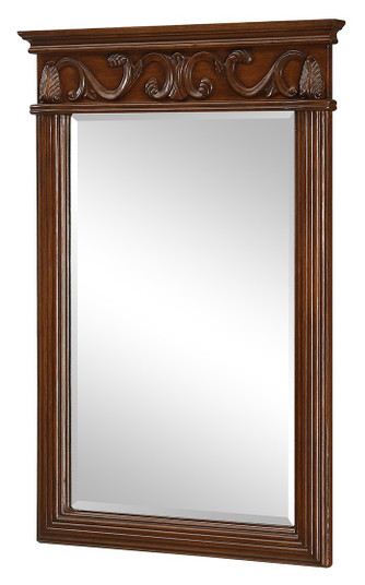 Danville 25 In. Traditional  Mirror In Brown (758|VM-1007)