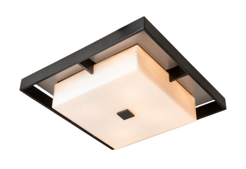 Shadow Box Large Outdoor Flush Mount (65|363102-SKT-80-80-GG0785)
