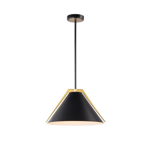 Baltic Collection 1-Light Pendant Black and Brushed Brass (12|AC11910BK)