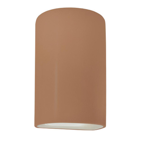 Large ADA Outdoor LED Cylinder - Open Top & Bottom (254|CER-5265W-ADOB)