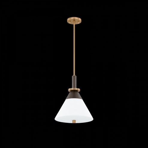 STATON Pendant (52|F4212-PBR/BRZ)