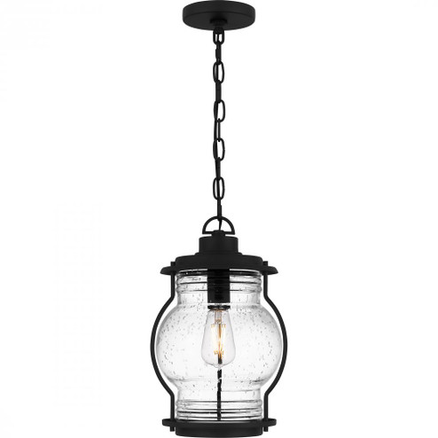 Luther 1-Light Earth Black Outdoor Hanging Lantern (26|LHR1909EK)