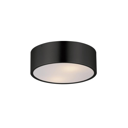 Tommy-Flush Mount (19|10494WTBK)