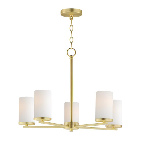 Lateral-Multi-Light Pendant (19|10286SWSBR)