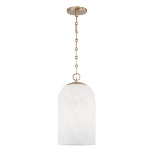 1 Light Pendant (42|355811MA-553)