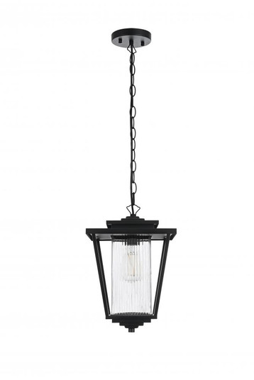 Outdoor Hanging L10'' H14.5'' E10'' L1 Black (758|OD305H15BK)