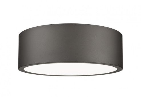 1 Light Flush Mount (276|1017F12-BRZ-LED)