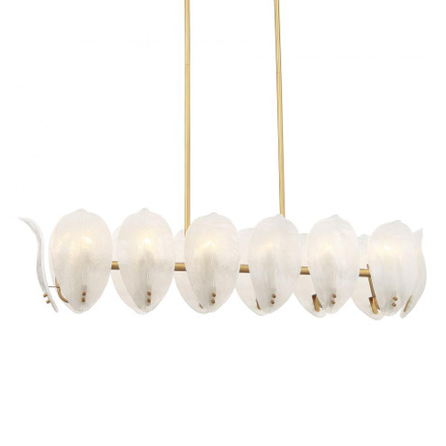 Orchid 48'' 14-Light Island (56|N2217-732)