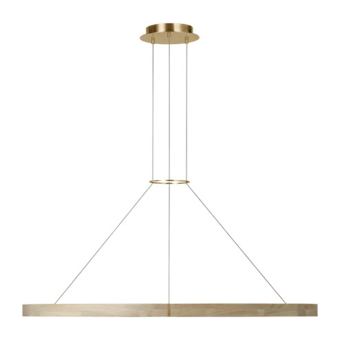 Ashok 49 Chandelier (7355|SLCH66227HABWWO)