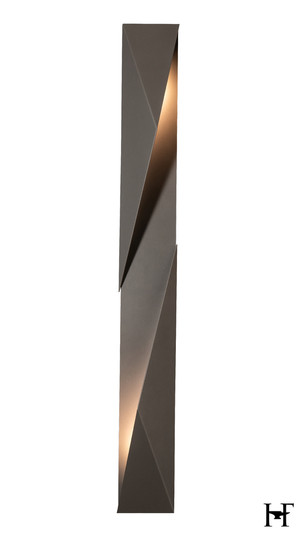 Carbon Large Outdoor Sconce (65|302044-SKT-LFT-78)