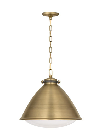 HAYWARD 1L LG PENDANT TWB (7725|LP1121TWB)