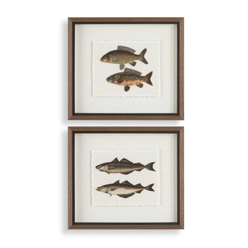 Uttermost The Catch Framed Fish Prints Set/2 (85|32448)